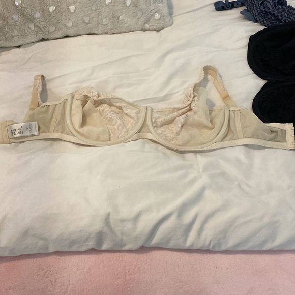 Rosa faia beautiful cup h - Picture 9 of 11